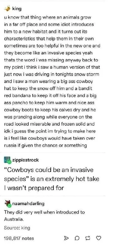 Cowboys as an Invasive Species