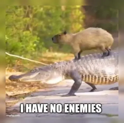 Capybara Has No Enemies