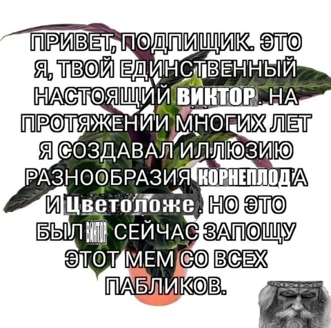 Единственный настоящий Виктор