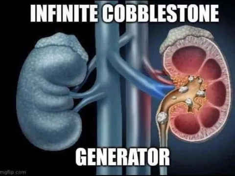 Infinite Cobblestone Generator Kidney