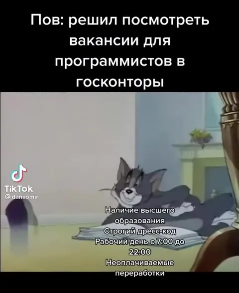 Вакансия программиста в госконторе