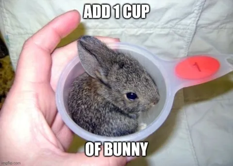 Add One Cup of Bunny
