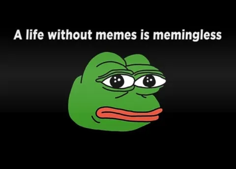 A Life Without Memes