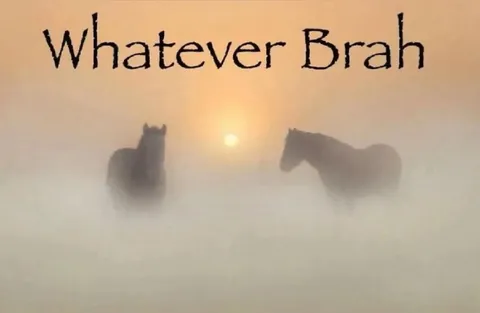 Whatever Brah Horses