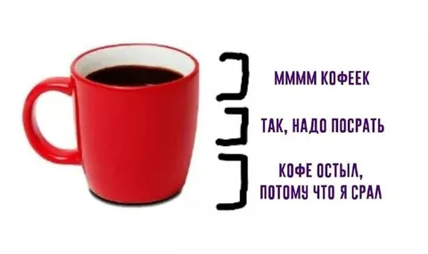 Кофе остыл, потому что я срал