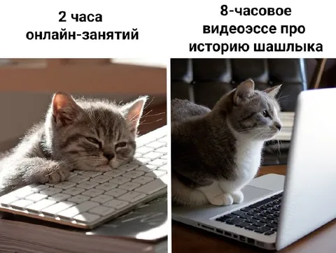 Онлайн-занятия против видеозессе
