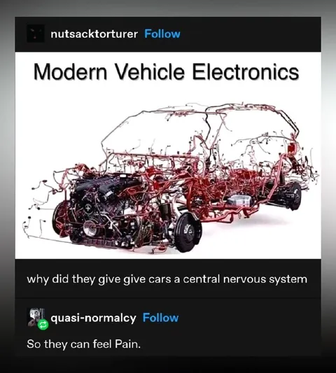 Cars Can Feel Pain