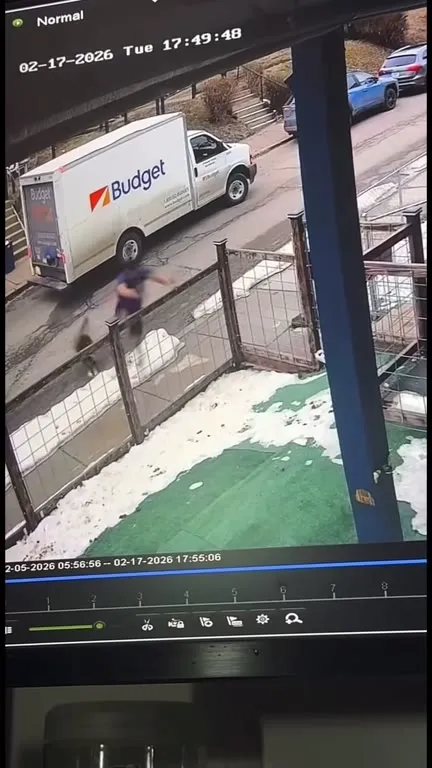 Человек и собака на льду