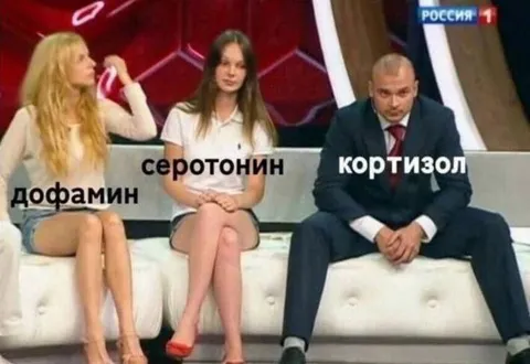 Дофамин, серотонин и кортизол