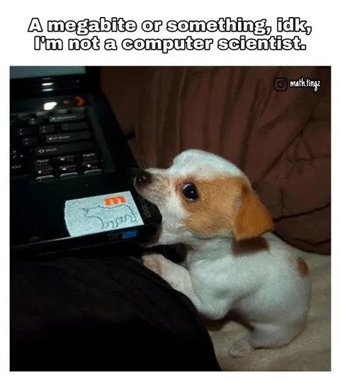 Dog Eating a Megabite