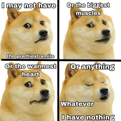 Doge Has Nothing