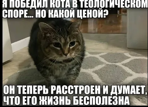Кот победил в теологическом споре