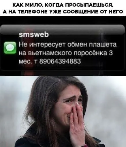 Сообщение об обмене плацента