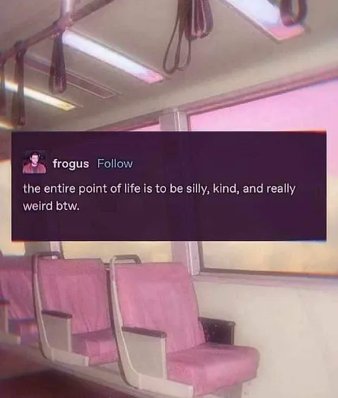 The Entire Point of Life