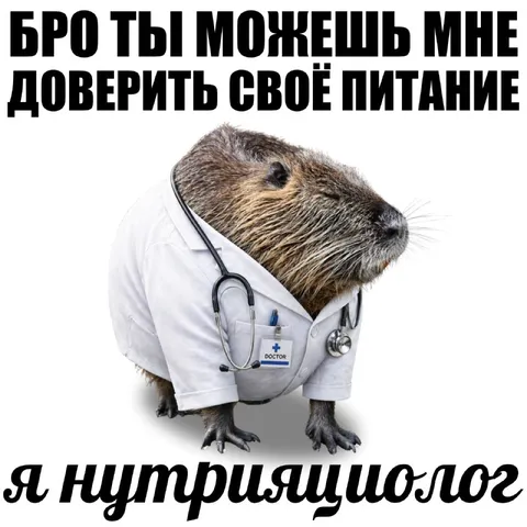 Бобёр-нутрициолог доверия