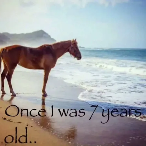 Once I Was Seven Years Old