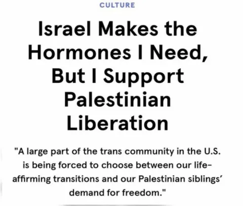 Israel Hormones Palestinian Liberation