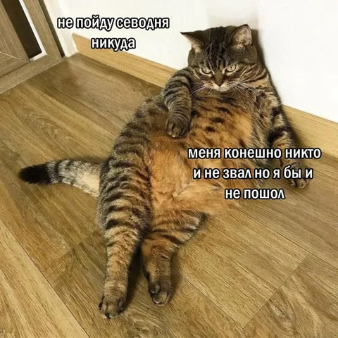 Никуда не пойду сегодня