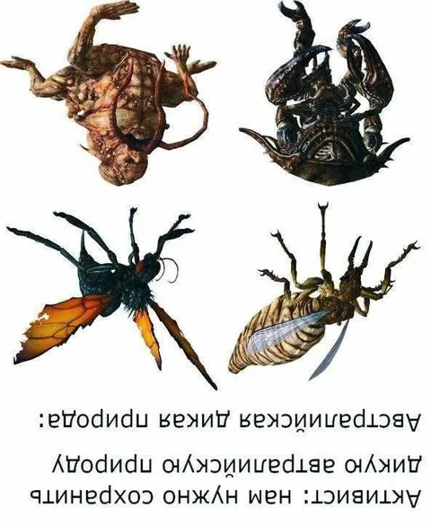 Активисты и дикая природа