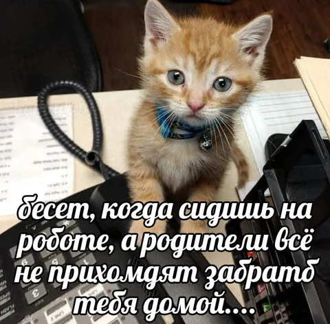Родители не забирают с работы