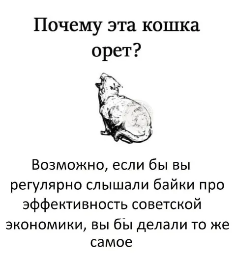 Кошка орёт про советскую экономику