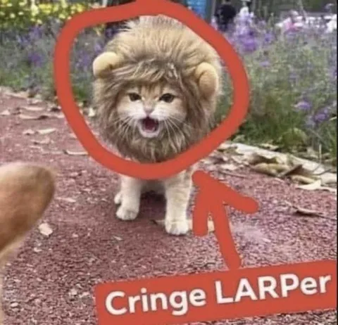Cringe LARPer Cat