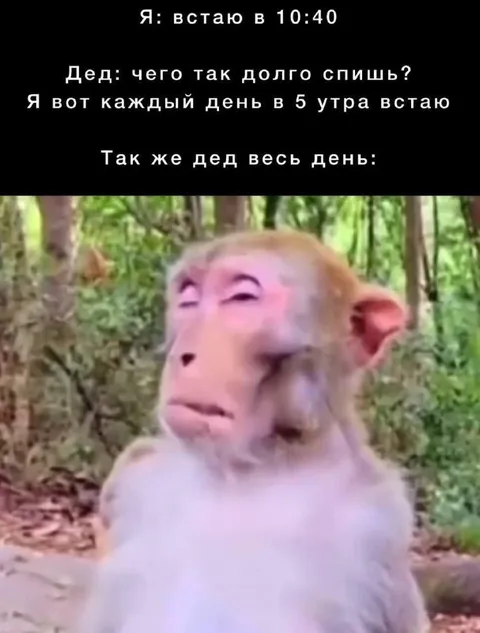 Дед весь день после пяти утра