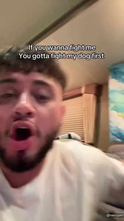 Fight My Dog First