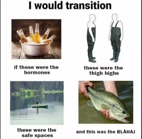 I Would Transition Meme