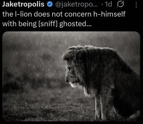 Lion Doesn’t Care About Ghosting