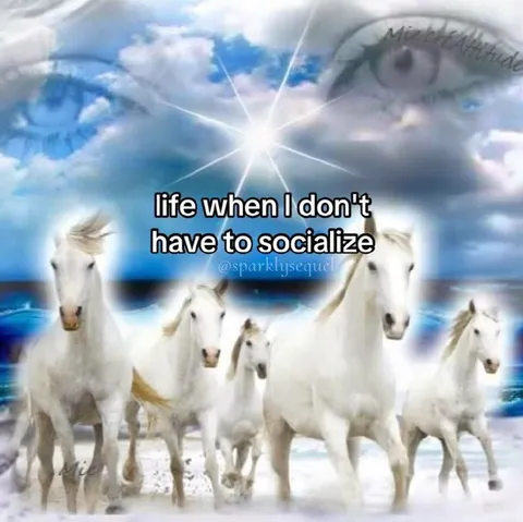 Life Without Socializing