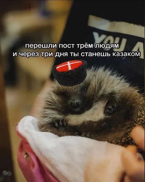 Через три дня станешь казаком