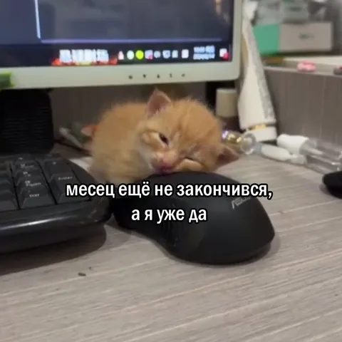 Месяц ещё не закончился