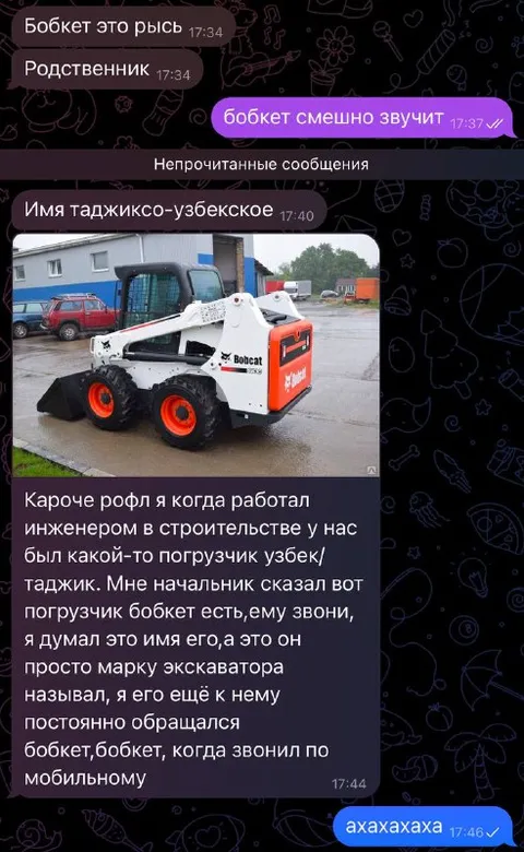 Бобкет это рысь
