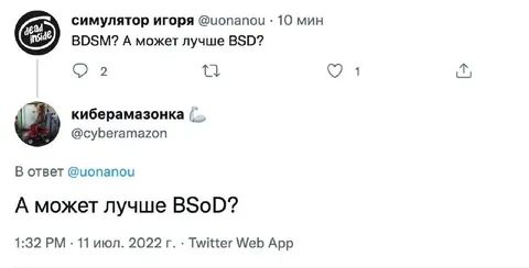 BDSM или синий экран смерти