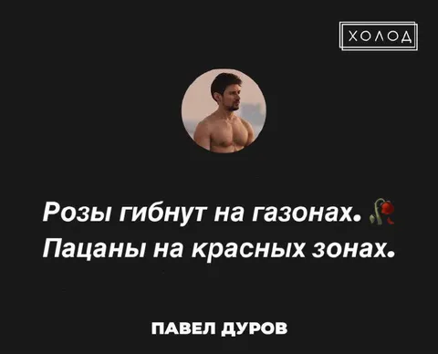 Розы гибнут на газонах