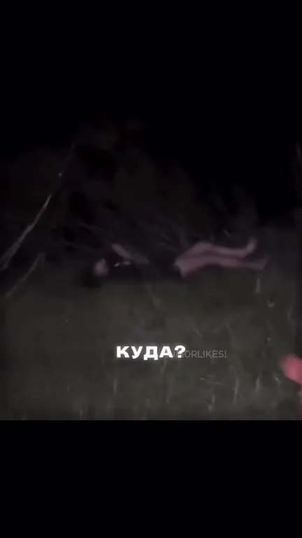 Сом внутри горы