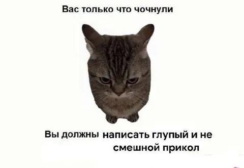 Вас только что чочнули