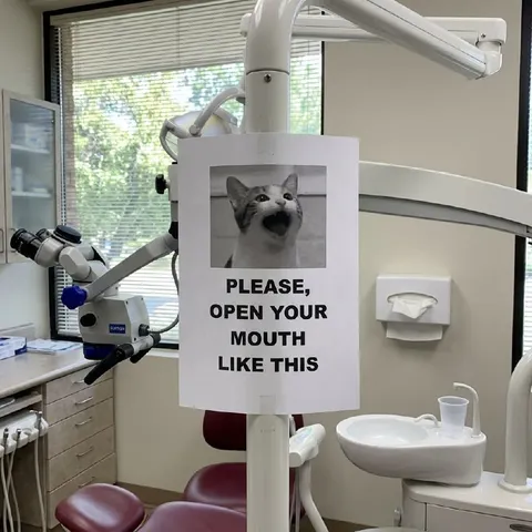 Please Open Your Mouth Like This