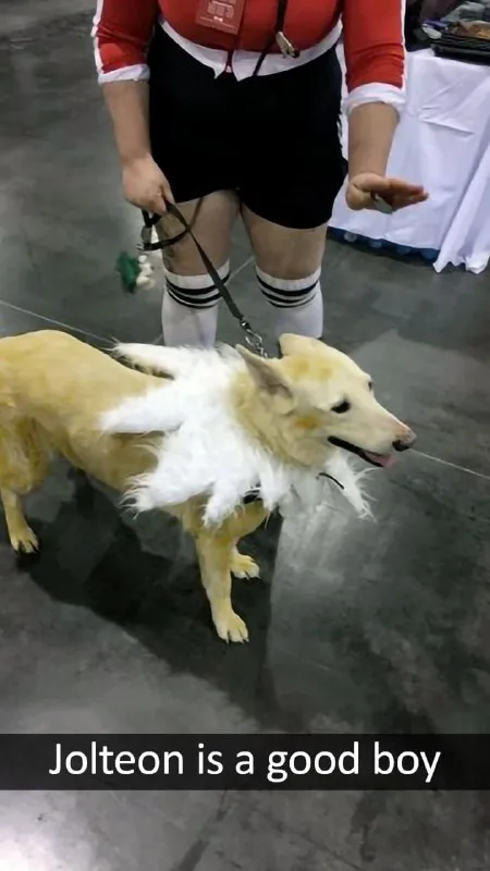 Jolteon Is a Good Boy