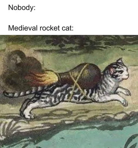 Medieval Rocket Cat