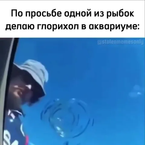 Глорихолт в аквариуме