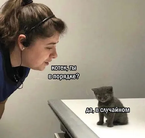 Котек, ты в порядке?