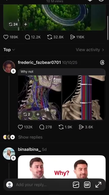 Why? Endless Comment Section