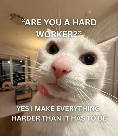 Cat Makes Everything Harder