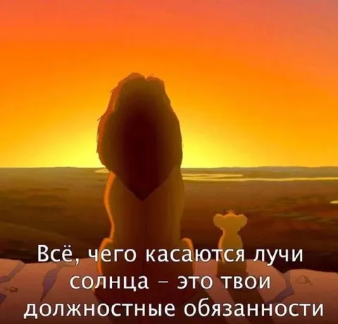 Всё, чего касается луч солнца