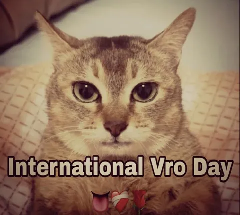 International Vro Day Cat