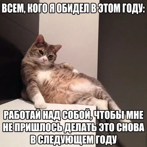 Кот, которого обидели в этом году