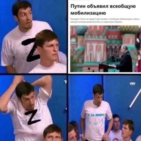 Я за мир при мобилизации