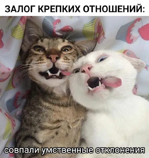 Совпали умственные отклонения